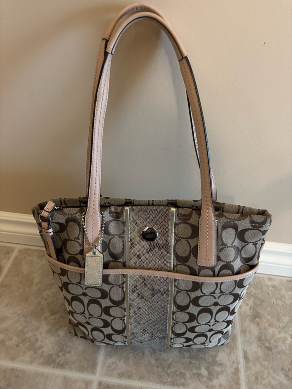 Classic Coach with Stripe Python look in Beige and Taupe with Leather Trim
